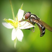 /album/getsiteinfo/photolia-a02-jpg/