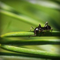 /album/getsiteinfo/photolia-a05-jpg/