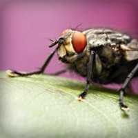 /album/getsiteinfo/photolia-a08-jpg/